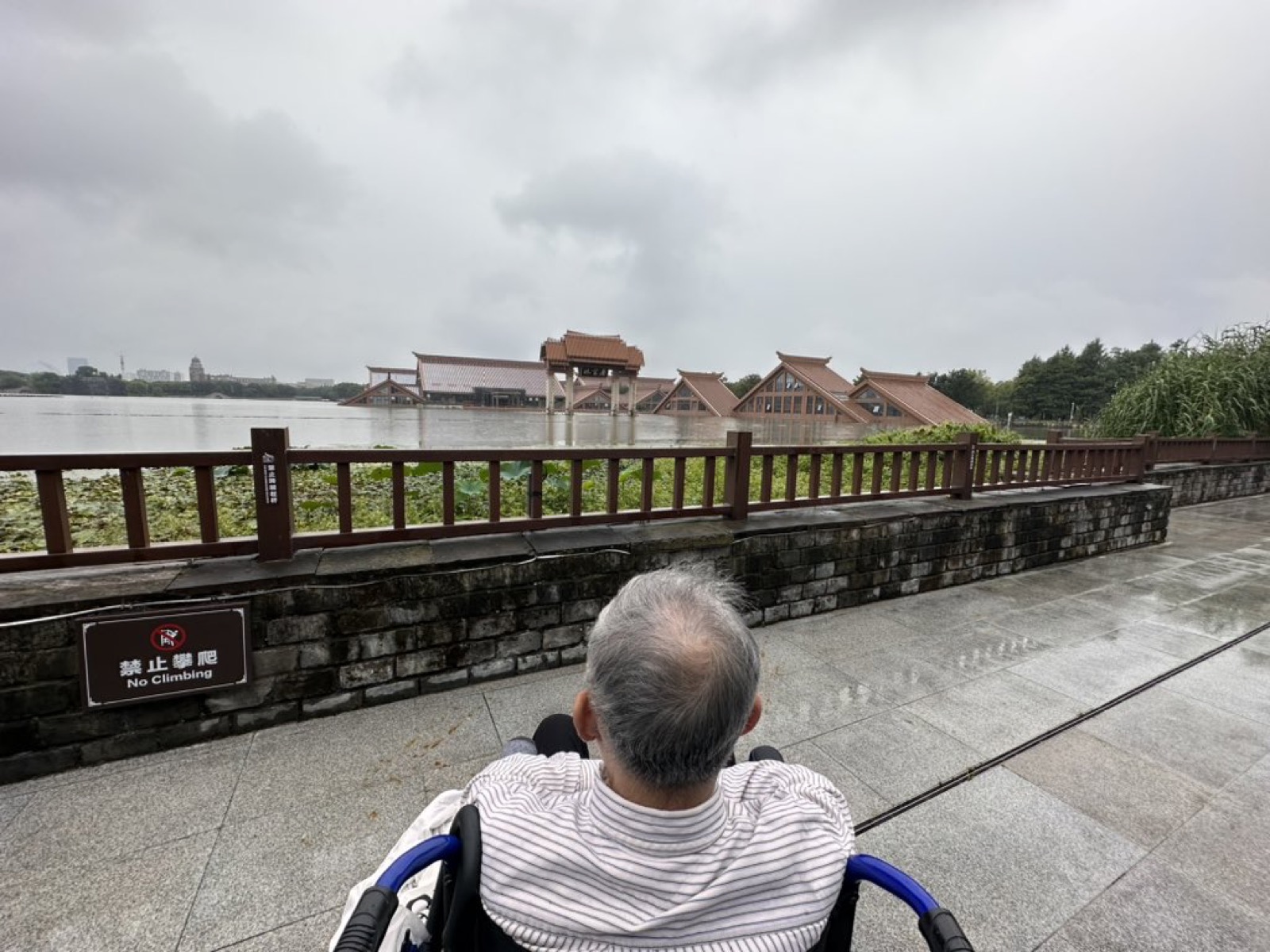 雨天，一位白发老人坐在轮椅上，背对镜头，面朝湖水和远处的楼阁