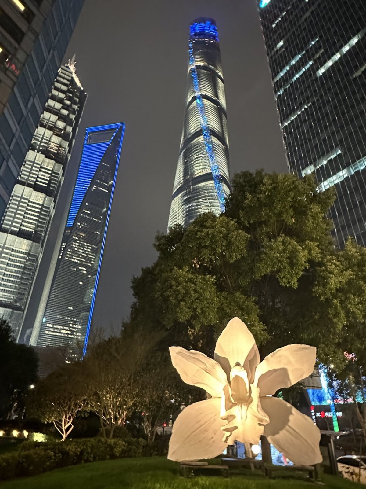 The towers of Lujiazui in Pudong, Shanghai, seen across the river